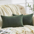 Gawamay Decorative Rectangle Throw Pillow Covers Lumbar Support Pillow 12"x20" Inch Set of 2, Soft Chenille Pillowcase for Living Room Bedr…