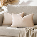 GIGIZAZAFocusingonhomedecoration GIGIZAZA 12x20 Lumbar Pillow Covers: Pack of 2 Champagne Beige Throw Pillows Super Soft Velvet Covers - De…