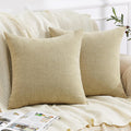 Gawamay Decorative Chenille Throw Pillow Covers 24x24 Inch Pack of 2, Soft Square Couch Pillow Cover for Sofa Cushion Living Room Bedroom S…