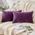 Gawamay Lumbar Pillow Decorative Rectangle Throw Pillow Covers 12"x20" Inch Set of 2, Super Soft Chenille Fall Pillowcase for Living Room B…