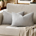 GIGIZAZAFocusingonhomedecoration Silver Grey Velvet Decorative Throw Pillow Covers for Sofa Bed 2 Pack Soft Cushion Cover 2 Pack Silver