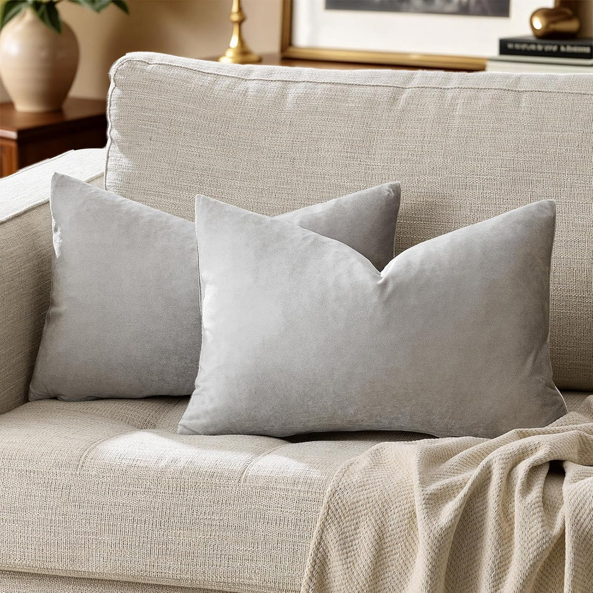 GIGIZAZAFocusingonhomedecoration Silver Grey Velvet Decorative Throw Pillow Covers for Sofa Bed 2 Pack Soft Cushion Cover 2 Pack Silver