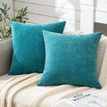 Gawamay Decorative Chenille Throw Pillow Covers 24x24 Inch Pack of 2, Soft Square Couch Pillow Cover for Sofa Cushion Living Room Bedroom S…