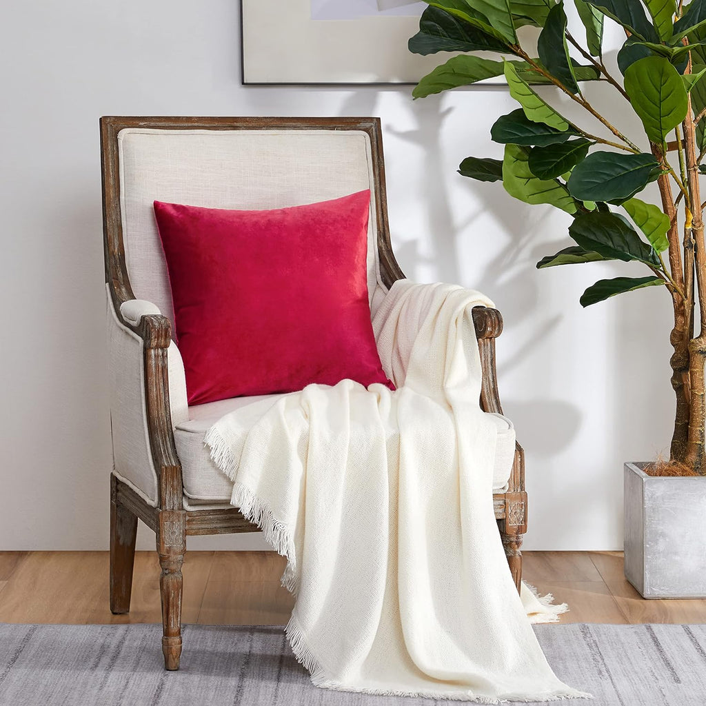 GIGIZAZAFocusingonhomedecoration GIGIZAZA Red Velvet Decorative Throw Pillow Covers 18x18 for Sofa Bed 2 Pack Soft Cushion Covers 2 Pack Red