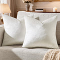 GIGIZAZAFocusingonhomedecoration GIGIZAZA Velvet Pillow Covers 20x20: Pack of 2 Throw Pillows Soft Solid Covers - Beige Decorative Modern C…