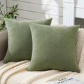 Gawamay Decorative Square Throw Pillow Covers 22"x22" Inch Set of 2, Super Soft Chenille Pillows Farmhouse Fall Pillowcase for Living Room…