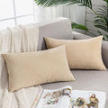 Gawamay Decorative Rectangle Throw Pillow Covers 12"x20" Inch Set of 2, Soft Chenille Fall Lumbar Support Pillow Cases for Living Room Bedr…