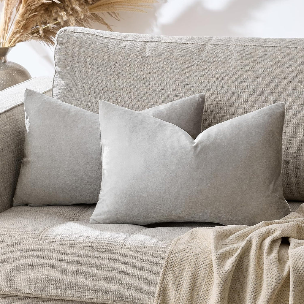 GIGIZAZAFocusingonhomedecoration Silver Grey Velvet Decorative Throw Pillow Covers for Sofa Bed 2 Pack Soft Cushion Cover 2 Pack Silver