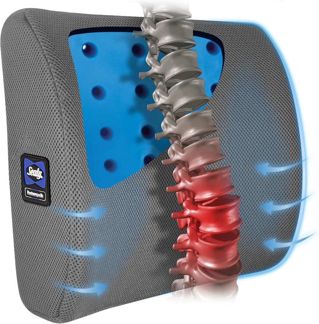 Sealy Lumbar Support Pillow with Cooling Gel – Ergonomic Office Chair Cushion for Back Support – Memory Foam Back Pillow for Car, Office…