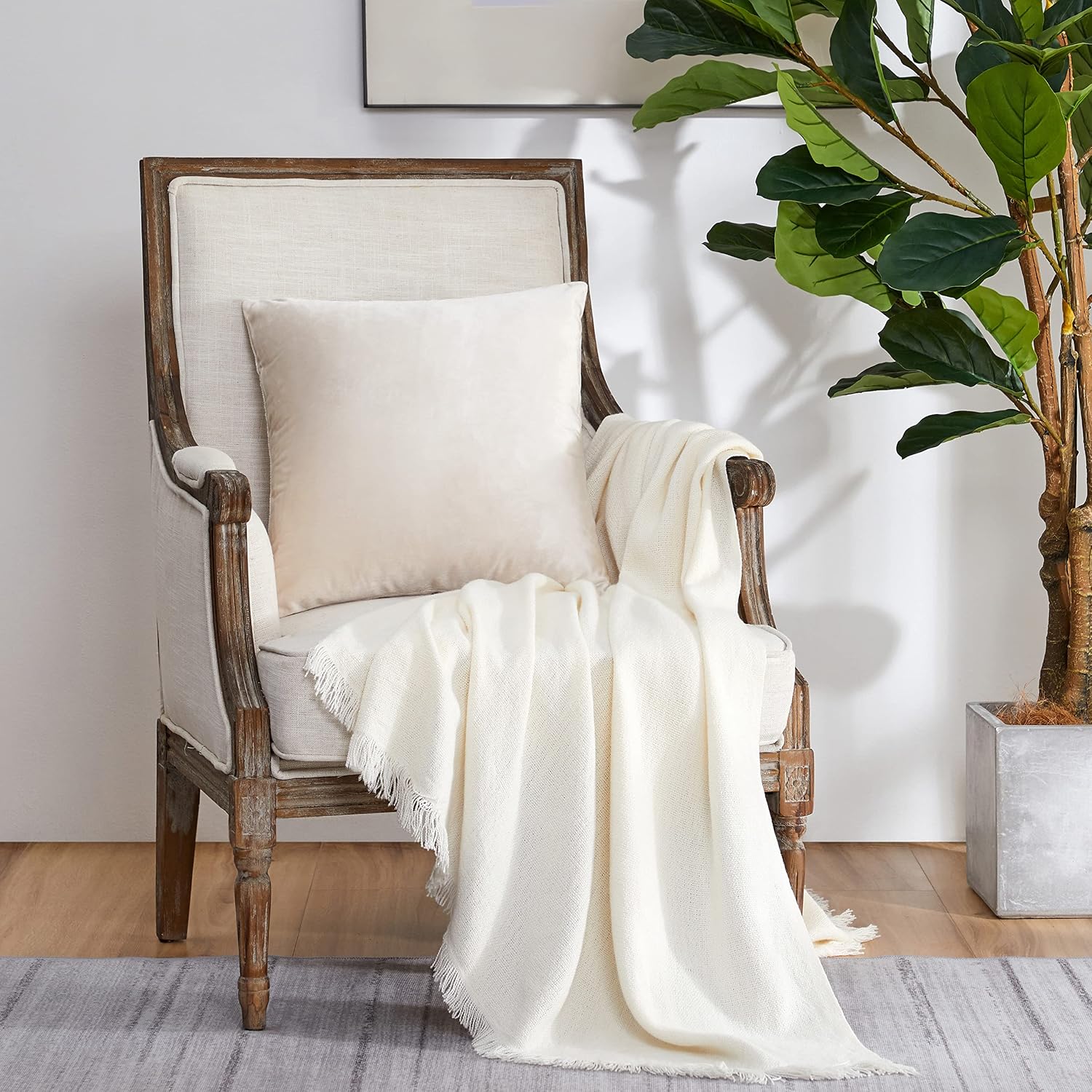 GIGIZAZAFocusingonhomedecoration GIGIZAZA Velvet Pillow Covers 20x20: Pack of 2 Throw Pillows Soft Solid Covers - Beige Decorative Modern C…
