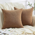 Gawamay Decorative Square Throw Pillow Covers 20"x20" Inch Set of 2, Super Soft Chenille Pillows Farmhouse Fall Pillowcase for Living Room…