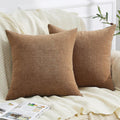 Gawamay Decorative Square 16x16 Inch Throw Pillow Covers Set of 2, Super Soft Chenille Pillows Farmhouse Fall Pillowcase for Living Room Be…