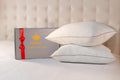 Standard foam pillows in White & Light Silver Accents