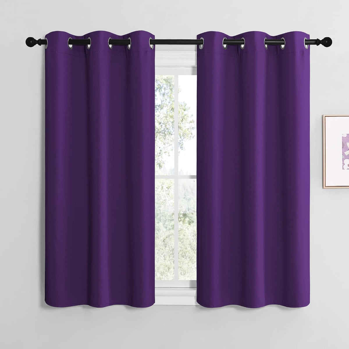 50"L x 42"W polyester curtains in Royal Purple