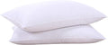 Queen feather pillows in Classic White
