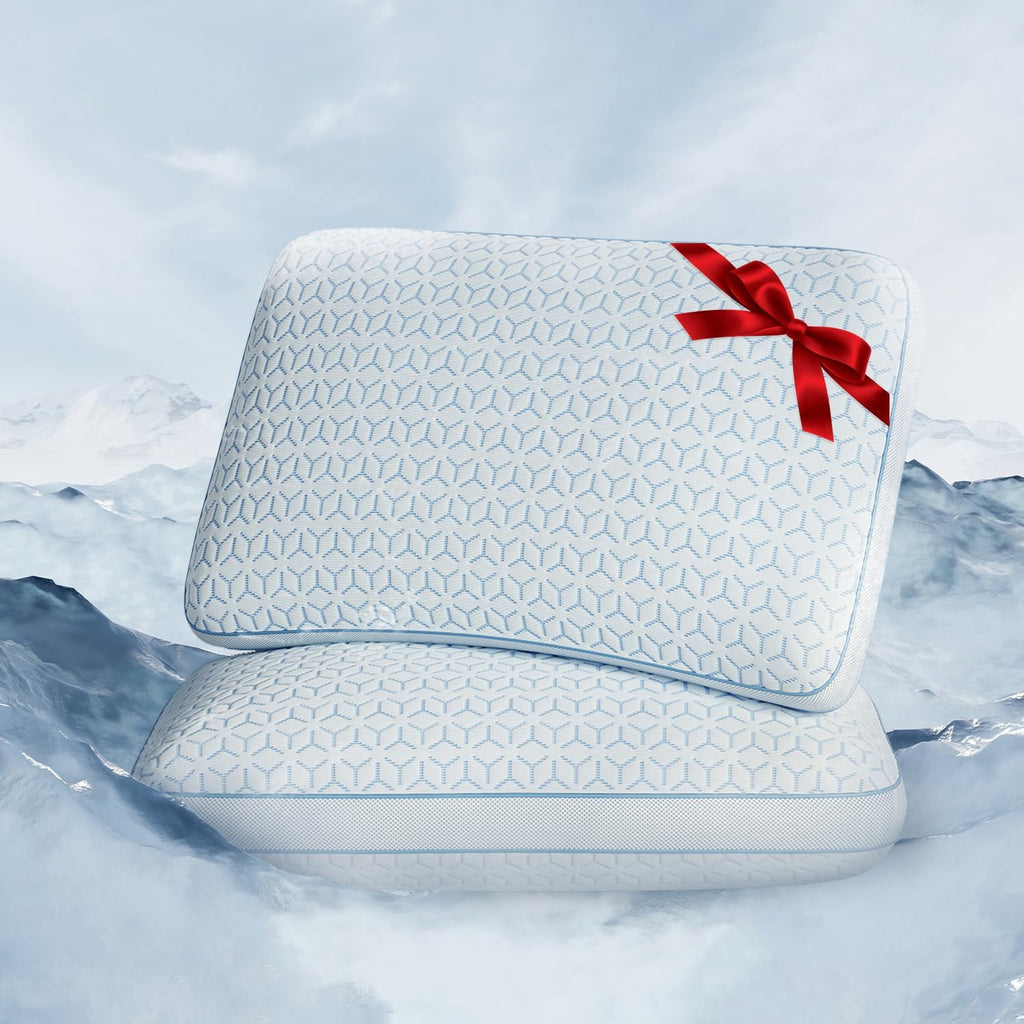 Queen foam pillows in Blue