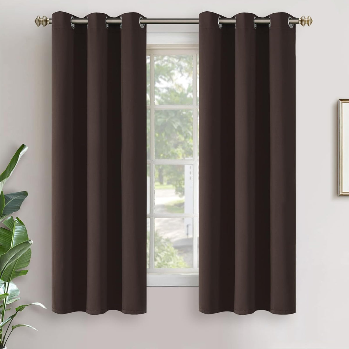 63"L x 34"W polyester curtains in Brown